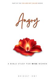 Angry: A Bible Study For Women
