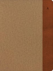 CSB Study Bible, Large Print, Khaki/Brown