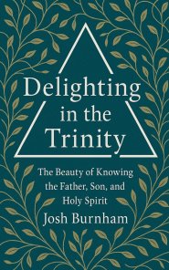 Delighting in the Trinity: The Beauty of Knowing the Father, Son, and Holy Spirit