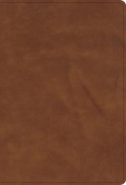 CSB Single-Column Compact Bible, Zipper Closure, Tan