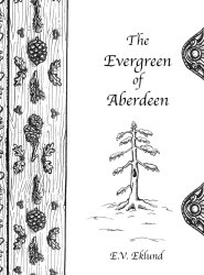 The Evergreen of Aberdeen