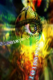 YOUR ALGORITHM: God Designed Order, Purpose, and Process for Your Life