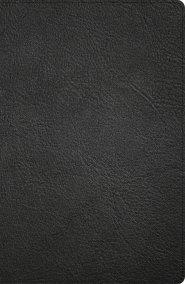 CSB Large Print Personal Size Reference Bible, Black