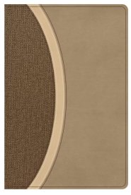 CSB Rainbow Study Bible, Brown Leathertouch, Indexed