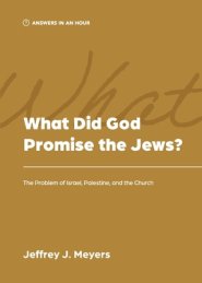 What Did God Promise the Jews?: The Problem of Israel, Palestine, and the Church