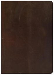 CSB She Reads Truth Bible, Brown Genuine Leather, Indexed