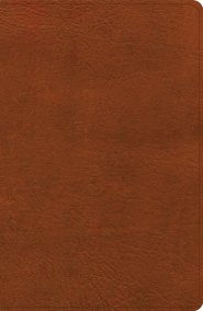NASB Personal Size Giant Print Bible, Burnt Sienna
