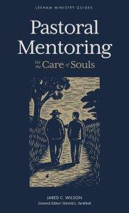 Pastoral Mentoring – For the Care of Souls