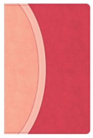 CSB Rainbow Study Bible, Pink Leathertouch, Indexed