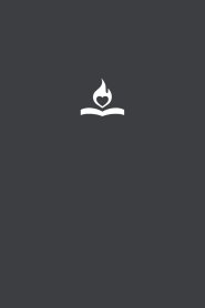 Father's Heart Bible (Paperback - Charcoal edition): An Intimate Translation