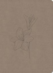 CSB Verse-By-Verse Reference Bible, Digital Study Edition