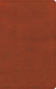 CSB Single-Column Personal Size Reference Bible, Sienna