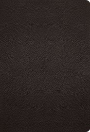 ESV Large Print Compact Bible, Red Letter (Buffalo Leather, Deep Brown)