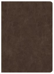 CSB Lumen Dei Bible, Lux Gloriae: Single-Column Wide-Margin
