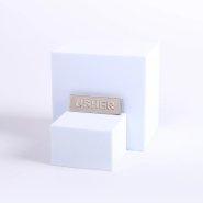 Badge Metal Usher Silvertone Pin