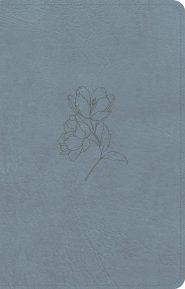 CSB Personal Size Bible, Digital Study Edition, Blue