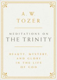 Meditations on the Trinity
