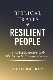 Biblical Traits of Resilient People: How God Builds Resilient People Who Can See His Treasures in Darkness
