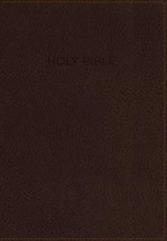 NIV, Foundation Study Bible, Imitation Leather, Brown, Indexed, Red Letter Edition