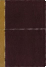KJV, Amplified, Parallel Bible, Large Print