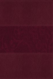 NIV Study Bible, Fully Revised Edition (Study Deeply. Believe Wholeheartedly.), Large Print, Leathersoft, Burgundy, Red Letter, Thumb Indexed, Comfort Print