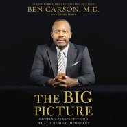 Big Picture