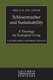 Schleiermacher and Sustainability