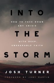 Into the Storm