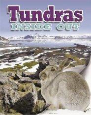 INSIDE OUT TUNDRAS