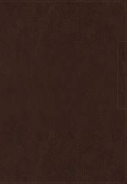 NIV, Lucado Encouraging Word Bible, Leathersoft, Brown, Comfort Print