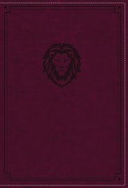 KJV, Thinline Bible Youth Edition