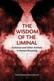The Wisdom of the Liminal