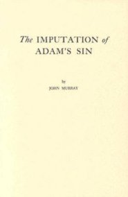 Imputation Of Adams Sin