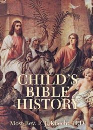 Child\'s Bible History