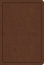 KJV Deluxe Gift Bible, Brown LeatherTouch