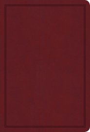KJV Deluxe Gift Bible, Burgundy LeatherTouch
