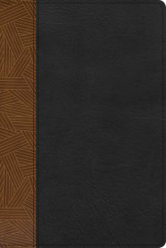 RVR 1960 Biblia de Estudio Arcoíris, tostado/negro símil piel con índice