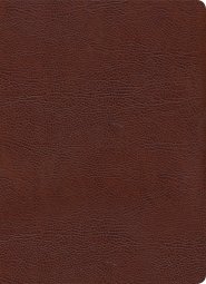 KJV Study Bible, Full-Color, Brown Bonded Leather, Indexed