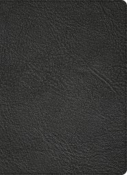 CSB Ancient Faith Study Bible, Black, Leather, Book Introductions,  Patristic Fathers Profiles, Study Notes from the Early Church, Feature Articles, Maps, Presentation Page