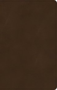 KJV Ultrathin Bible, Brown, Imitation Leather