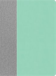 CSB Lifeway Women's Bible, Gray/Mint LeatherTouch