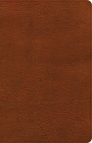 NASB Large Print Personal Size Reference Bible, Burnt Sienna LeatherTouch, Indexed