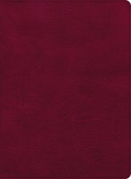 CSB Holy Land Illustrated Bible, Burgundy LeatherTouch, Indexed