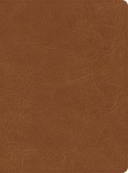 CSB He Reads Truth Bible, Saddle LeatherTouch, Indexed