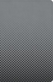 CSB Kids Bible, Thinline Edition, Gray LeatherTouch