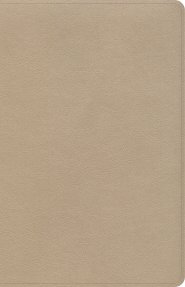 CSB Large Print Personal Size Reference Bible, Gold LeatherTouch, Indexed