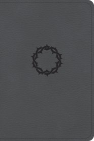 CSB Large Print Compact Reference Bible, Stone LeatherTouch