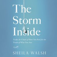 Storm Inside