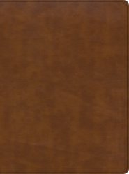 CSB Holy Land Illustrated Bible, British Tan LeatherTouch, Indexed