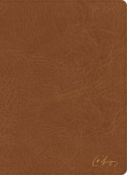 KJV Spurgeon Study Bible, Tan LeatherTouch